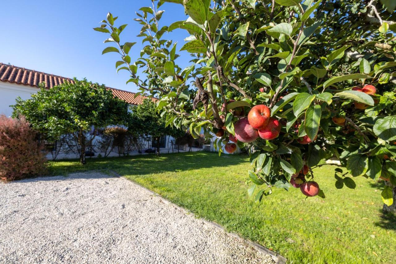 Casa Da Lagoa E Forja - Turismo Rural Mira  Εξωτερικό φωτογραφία